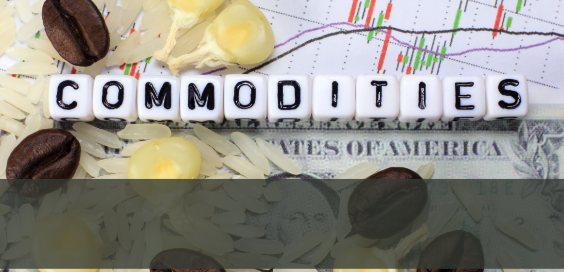 소프트 원자재 (Soft Commodity)