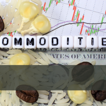 소프트 원자재 (Soft Commodity)